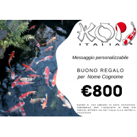 Buono regalo 800 euro